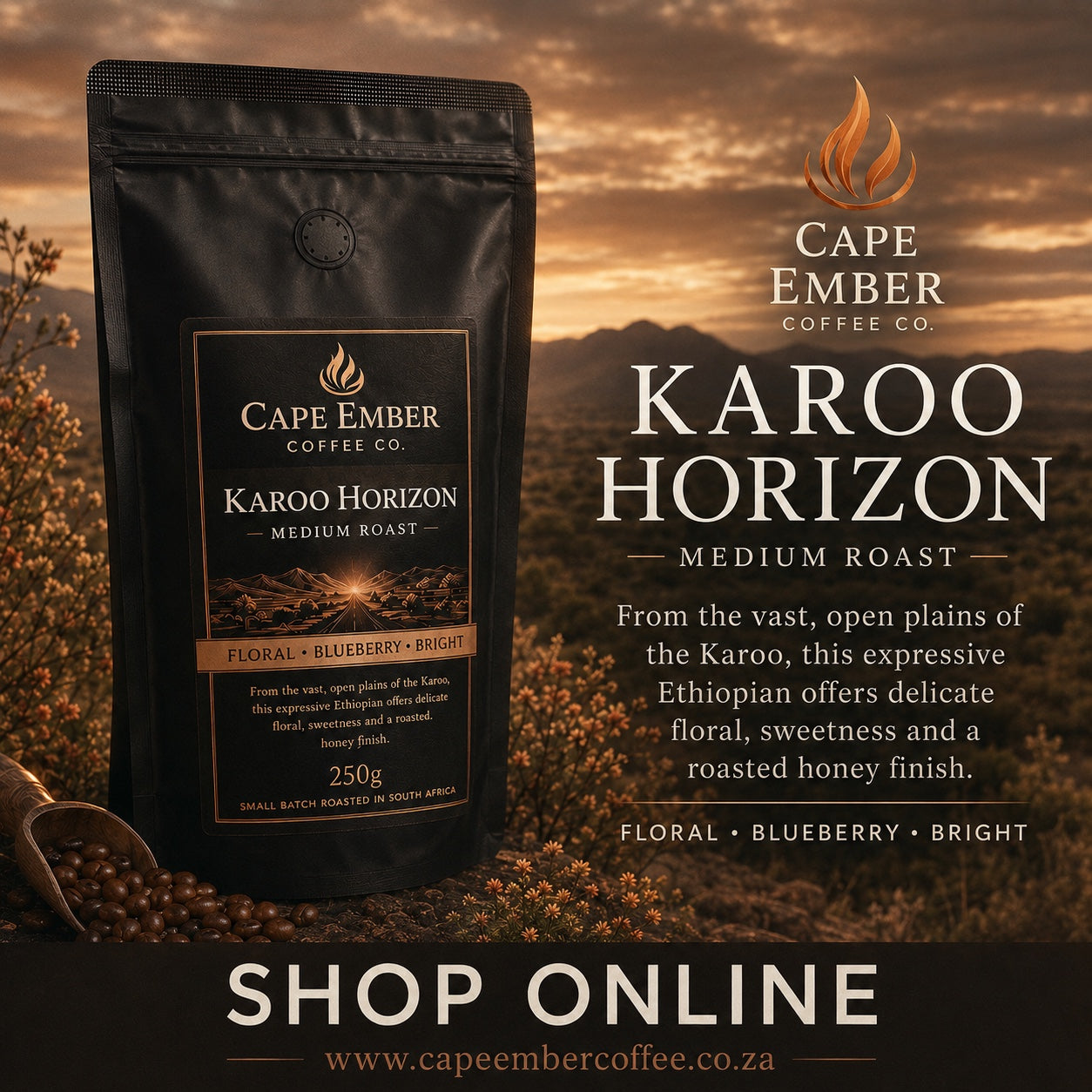 The Landscape Bundle - Premium South African Roasted Coffee 4 x 250G